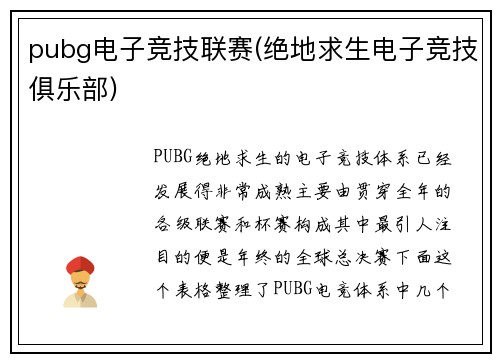 pubg电子竞技联赛(绝地求生电子竞技俱乐部)